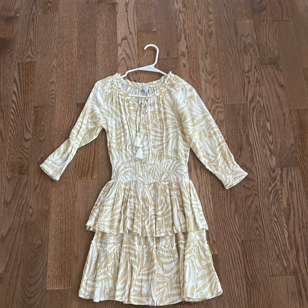 Patrons of Peace dress